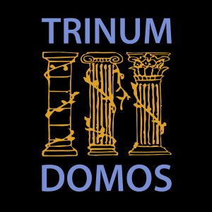 Logo Trinum Domos